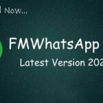 FM WHatsapp