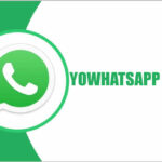 YOWHATSAPP TERBARU