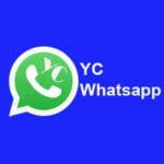 YC Whatsapp